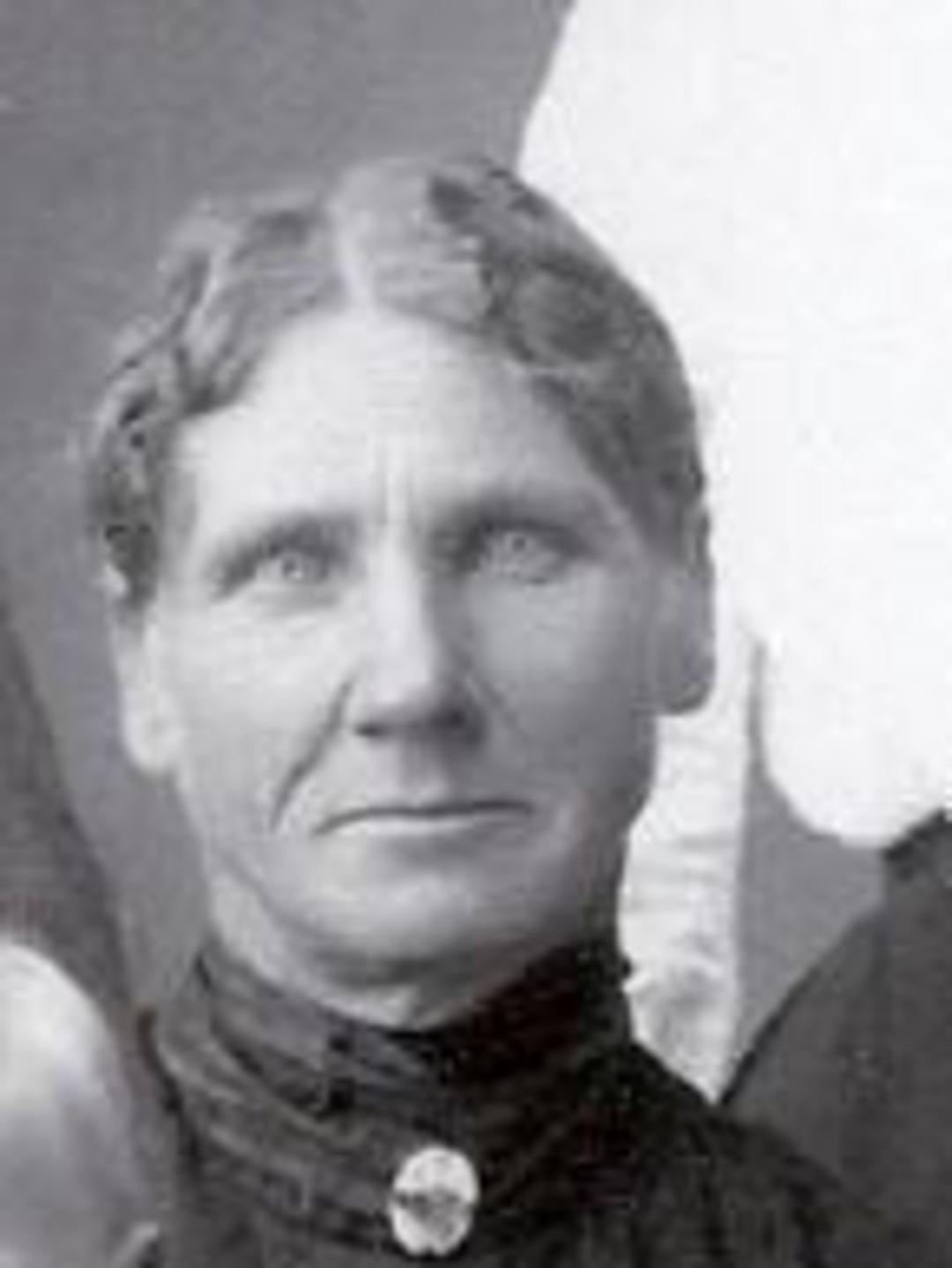 Annie Hansen (1860 - 1940) Profile